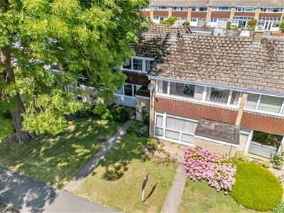 Picture 13
